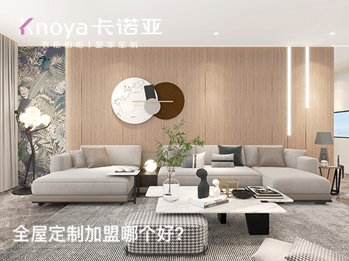 2023年河北全屋定制加盟選什么品牌好？